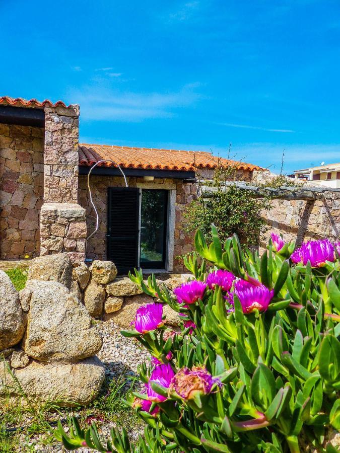 Rena Village Rena Majore Εξωτερικό φωτογραφία